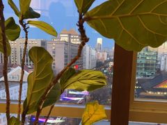 -同庆楼(王府井店)