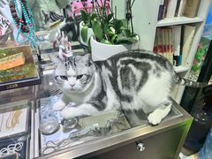 -百金通黄金回收首饰定制维修(珠江路总部)