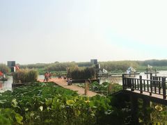 -洪湖生态旅游区