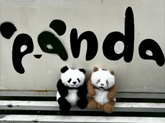 -栾川竹海野生动物园