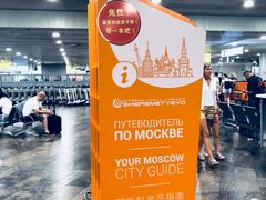 -谢列梅捷沃国际机场