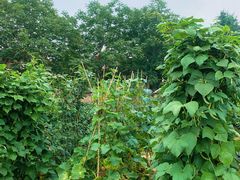 -意大利农场度假村