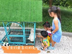 -成都安仁福朋喜来登酒店