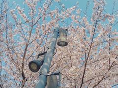 -石湖景区