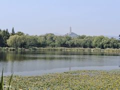 -北坞公园