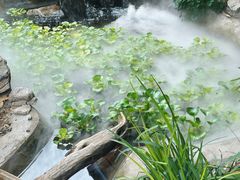 -陶野咖啡·面包披萨