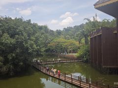 -野象谷景区
