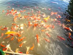 -陶祖圣境风景区