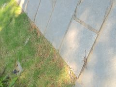 -柳侯公园