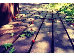 -北京宽沟会议中心