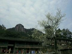-旗山国家森林公园