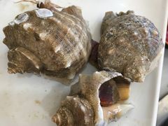 -王潮活海鲜自助·蒸汽海鲜