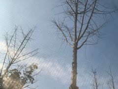 -洋湖国家湿地公园