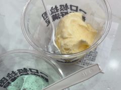 -极拉图·现制冰淇淋(梅溪湖新天地步步高店)