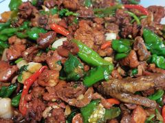 -食鸡公社辣子鸡·潍坊菜·烧烤