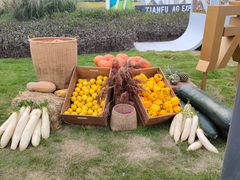 -中国天府农业博览园