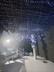 -青禾蒙娜丽莎婚纱摄影(武汉总店)