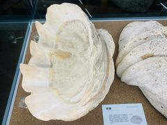 -天津古林古海岸遗迹博物馆