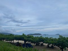 -三亚亚龙湾天域度假酒店