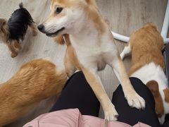 -浣熊柯尔鸭土拨鼠·电玩咖