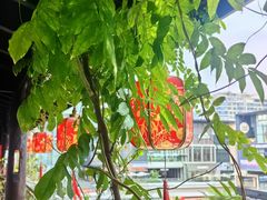 -道南書院·私房菜·早午茶·茶馆