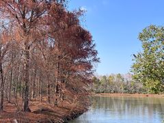 -上海海湾国家森林公园