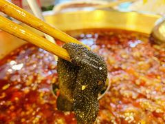 毛肚-巴蜀大宅门火锅(新华公园店)