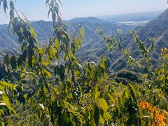 -大岭沟猕猴桃谷风景区