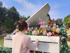 -铁山坪森林公园