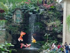 -白天鹅宾馆-宏图府餐厅