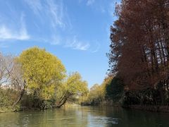 -新江湾城公园
