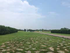 -汉景帝阳陵博物院