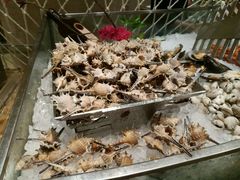 -宁波阳光豪生大酒店·豪生咖啡厅