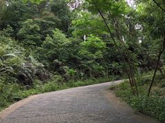 -滴水岩森林公园