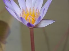 -西安市广仁寺