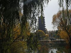 -延庆地质公园博物馆