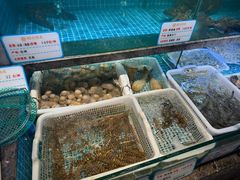 -恒记饭店·海鲜明档(淹城店)