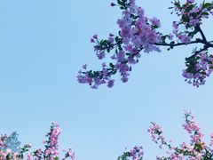 -圩墩遗址公园