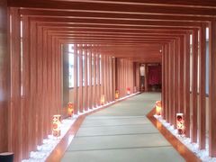 -重庆南山海昌汤都