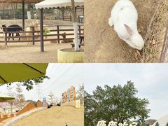 -盈香心动乐园