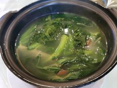 鸡汤素菜煲-新灿记大酒楼