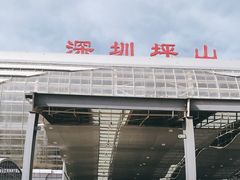 -深圳坪山站