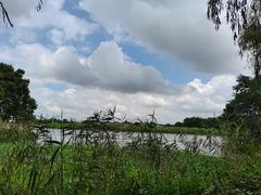 -梁鸿国家湿地公园