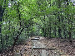 -西湖风景区十里琅珰-五云山