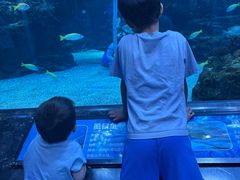 -海合安成都极地海洋公园