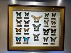 -上海昆虫博物馆