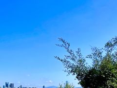 -深圳湾公园(南山区)