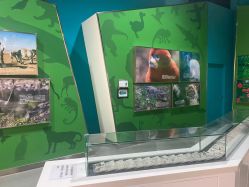 -北京科学中心儿童乐园