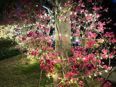 -深圳人才公园