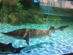 -常州海昌海洋探索馆